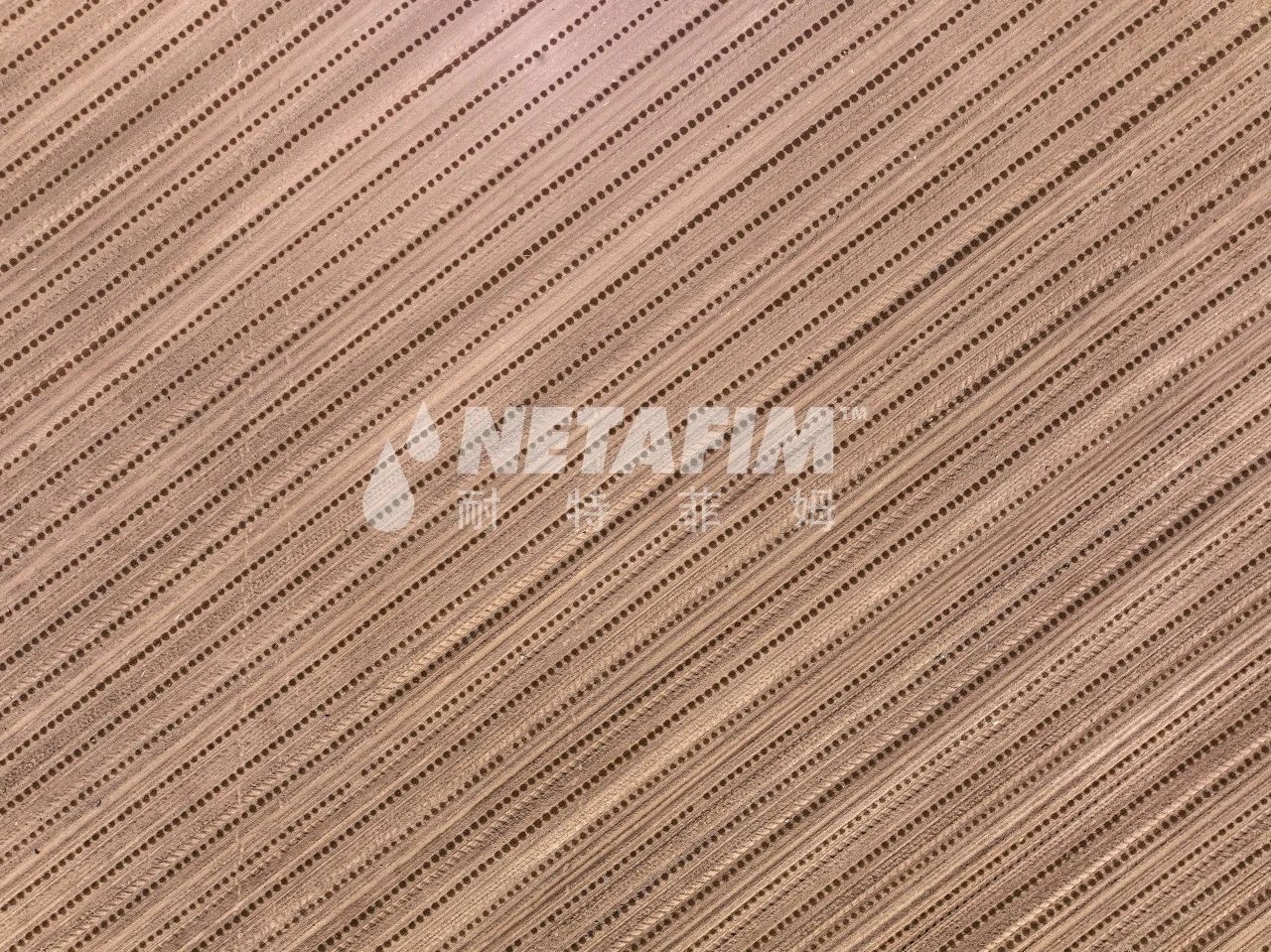 小流量滴灌技术